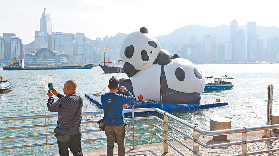 ●熊貓裝置昨日在維港上飄浮。香港文匯報記者黃艾力 攝