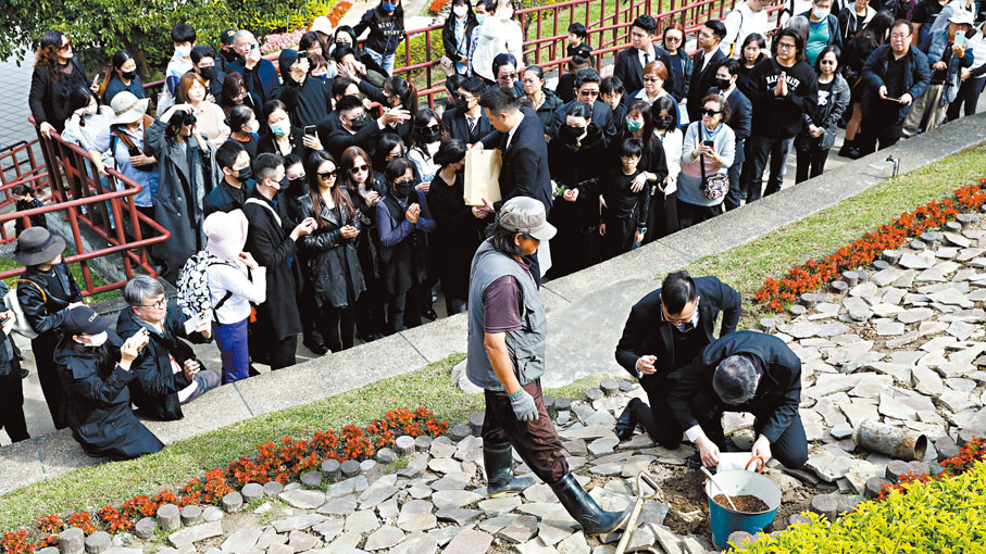 ●瓊瑤兒子陳中維把母親的骨灰撒在花葬地點。   中通社