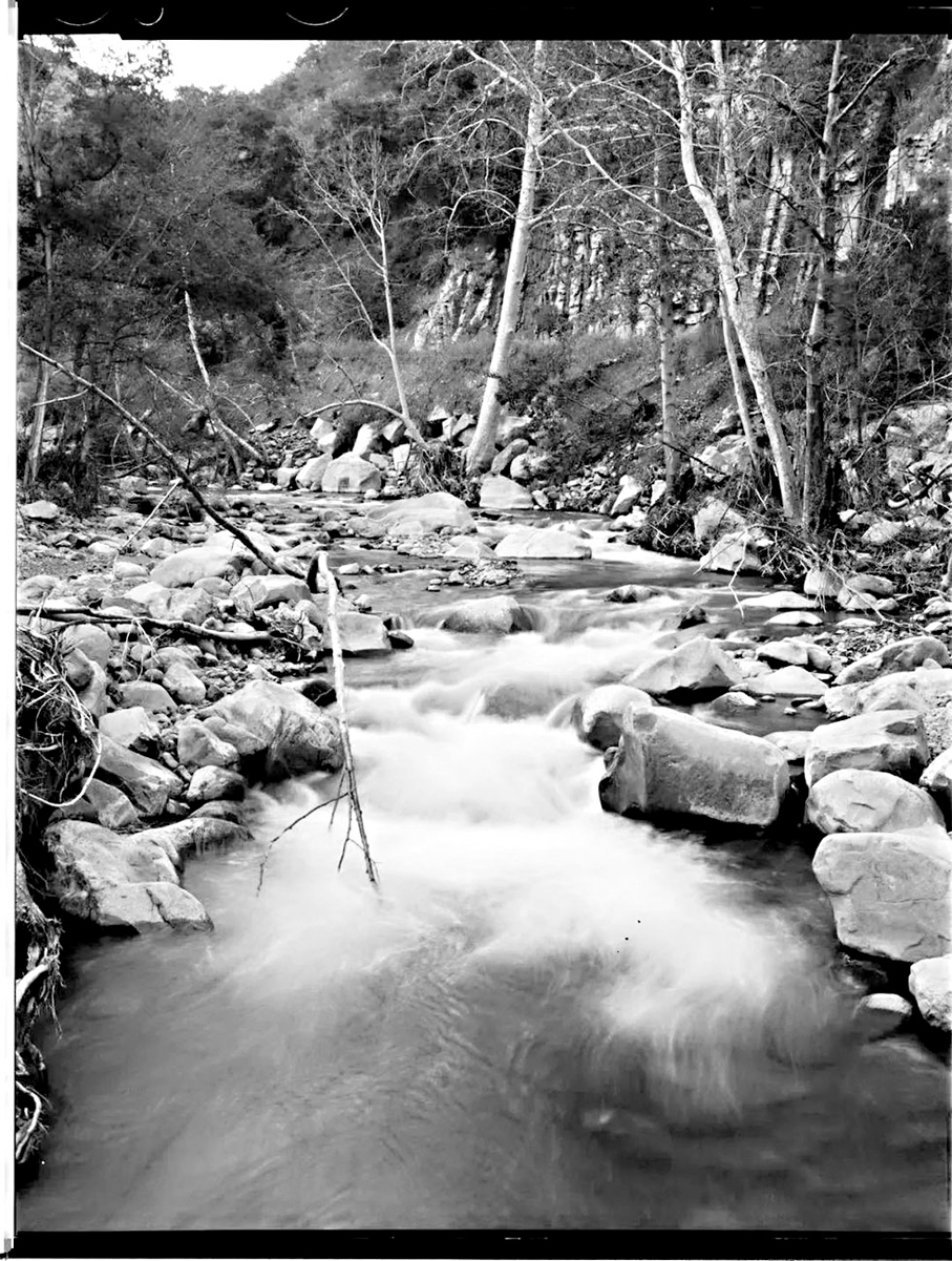 ●石天潤鏡頭中的自然之美（4×5黑白）。