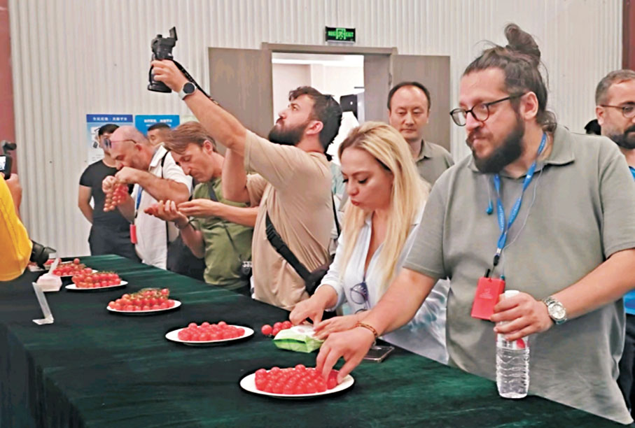 ●土耳其媒體人士在新疆霍爾果斯現代農業產業園品嘗工廠化「製造」的番茄。