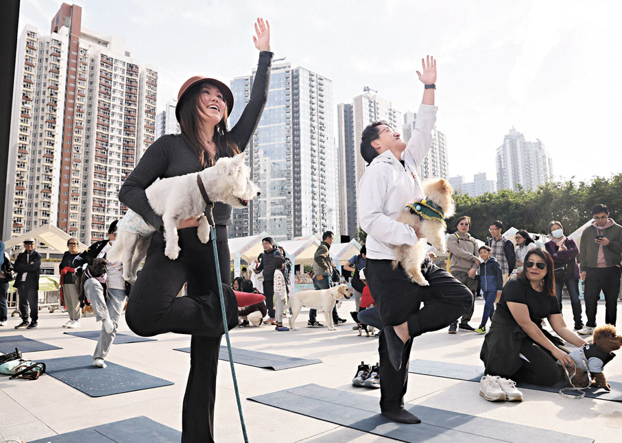 ●寵物運動會。香港文匯報記者郭木又  攝