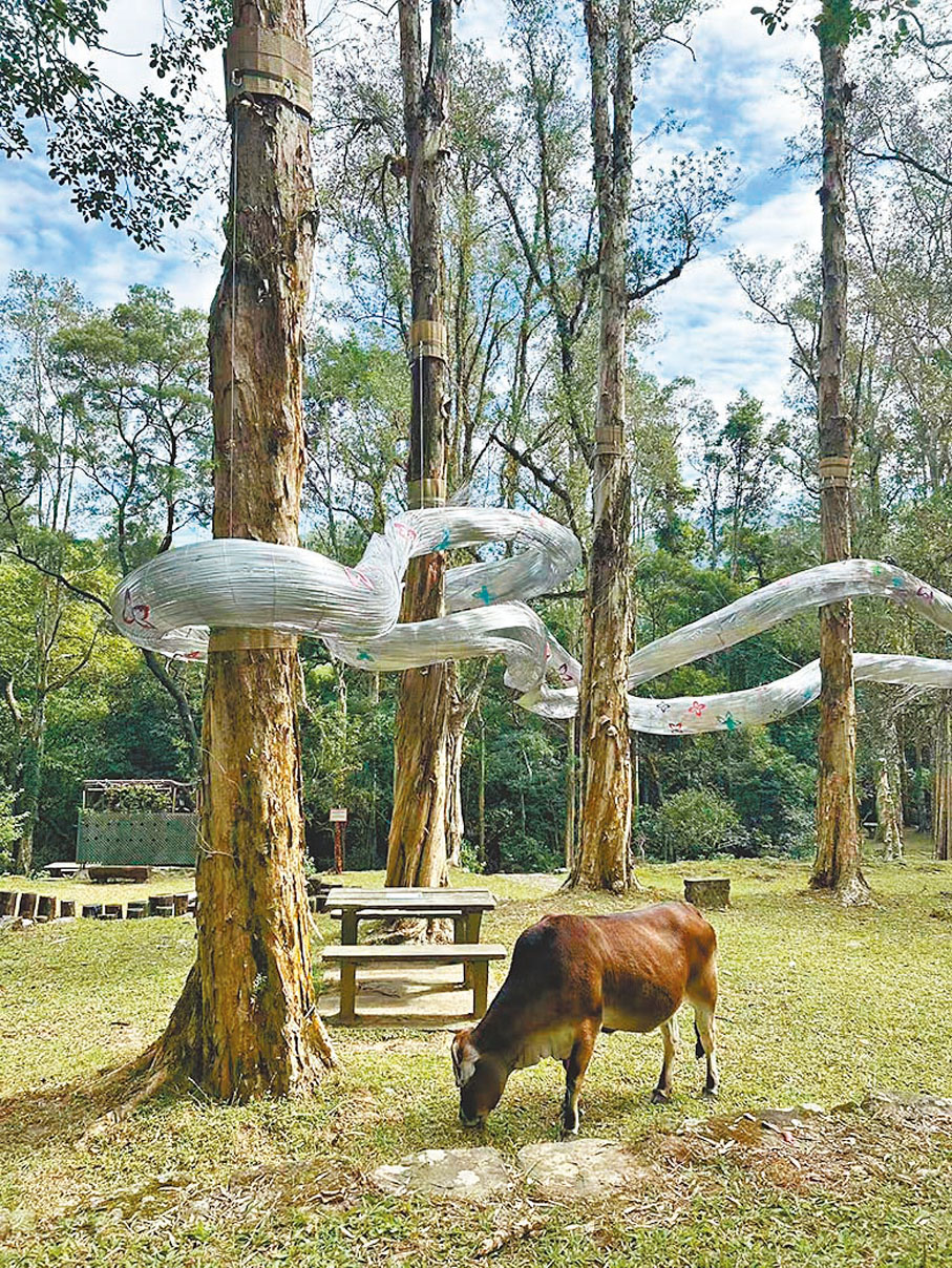 ●位於城門郊野公園的花藝裝置《風的流動》。