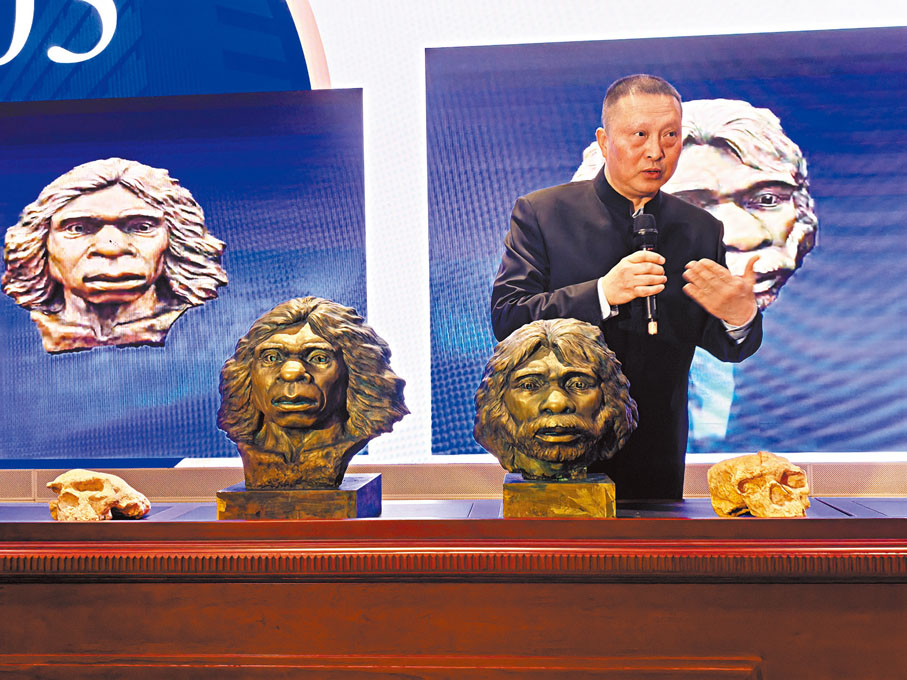 ●「鄖縣人」一、二號頭骨化石及其相貌復原像。