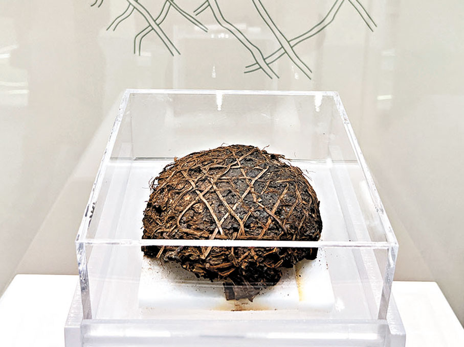 ●距今2,200多年的巴文化竹編織製品「戰國竹笥」　資料圖片