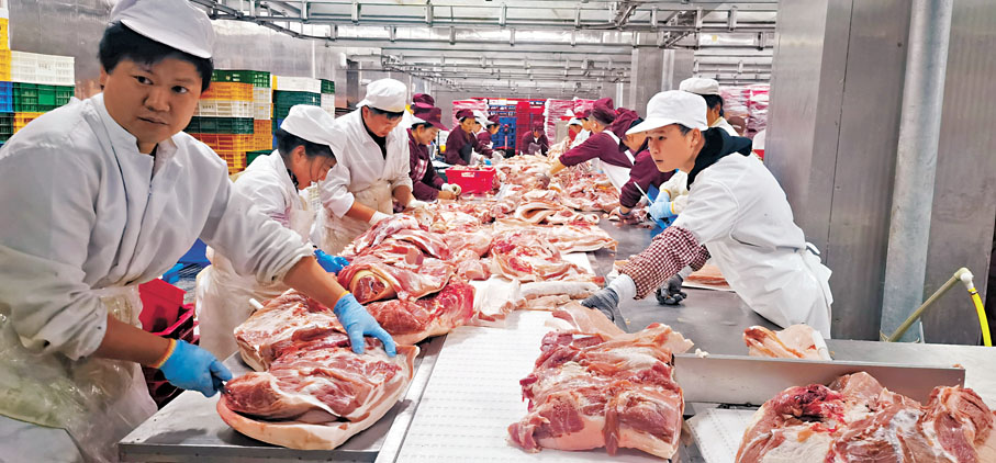 ●分割後的冰鮮豬肉，運往大灣區市場。香港文匯報廣西傳真