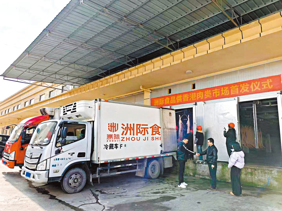 ●賀州洲際食品全自動屠宰生產線，經過排酸的冰鮮肉正裝車中，4小時後進入香港市場。香港文匯報廣西傳真