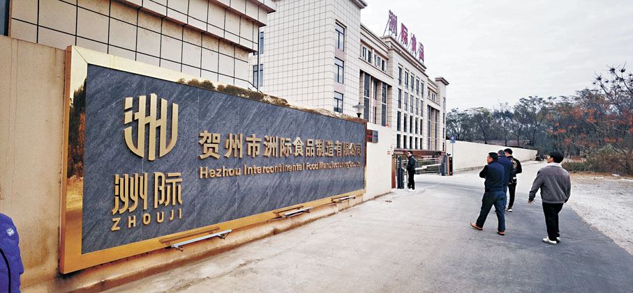 ●港人開辦的廣西賀州洲際食品公司今年起，每天200頭冰鮮豬肉供港。香港文匯報廣西傳真