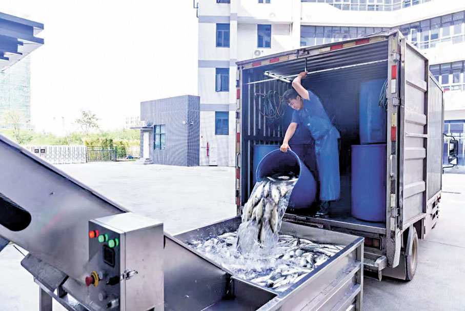 ●珠海集元水產科技有限公司的供港新鮮水產品。