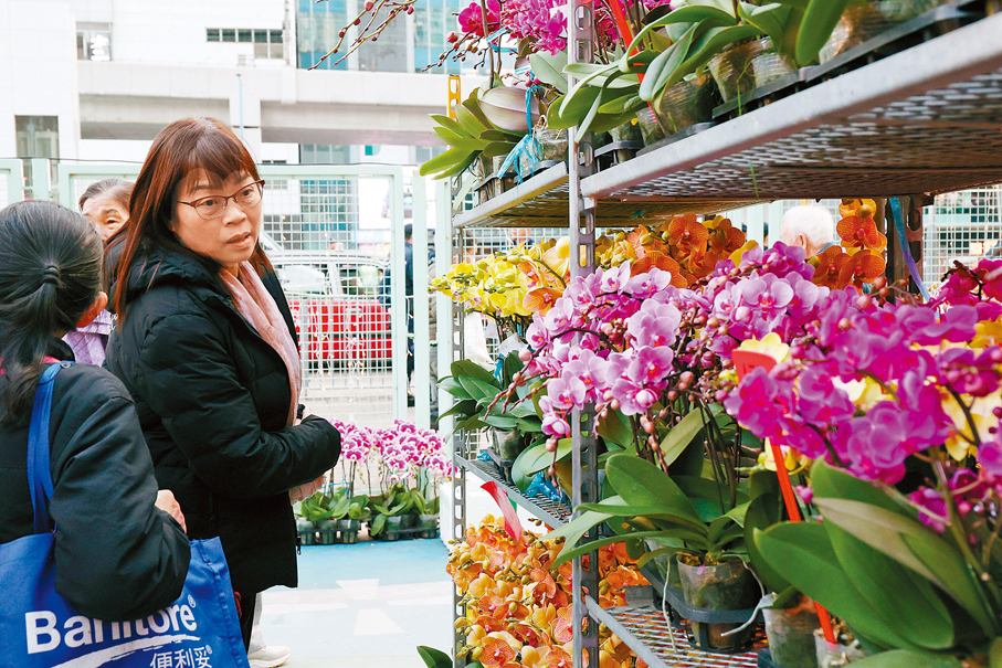 ●非飲食類攤位售賣各類年貨、年花。 香港文匯報記者萬霜靈 攝