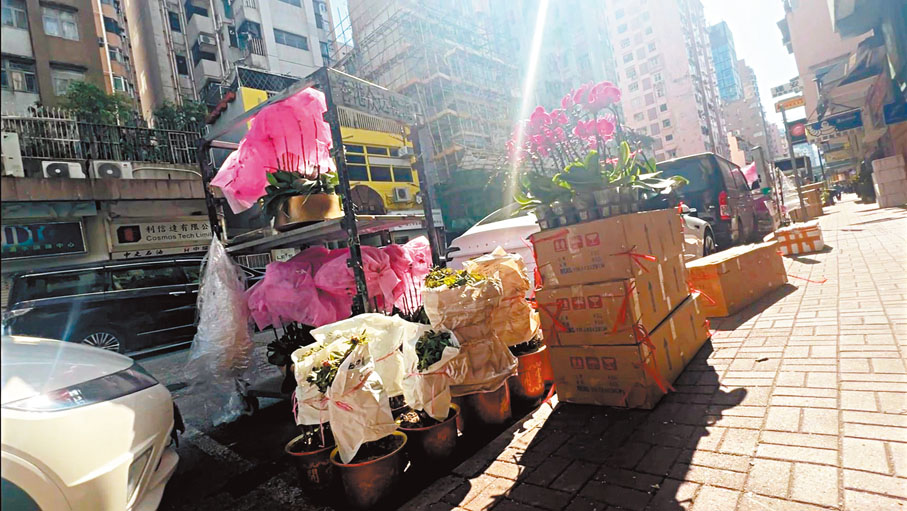 ●物流倉所在街道有不少待交收的蘭花。香港文匯報記者廣濟 攝