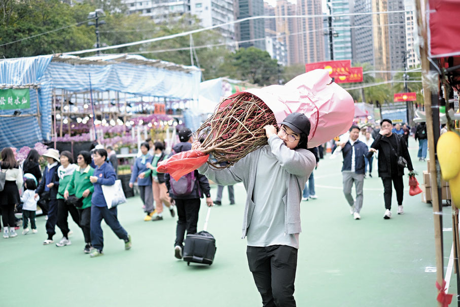 ●將桃花的運氣搬回家中。香港文匯報記者涂穴 攝