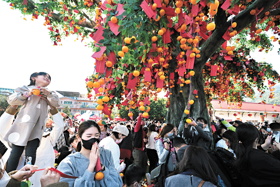 ●在大埔林村，人們向許願樹拋寶牒祈願。