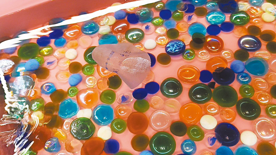 ●「游魚遊戲」金魚7秒忘憂區