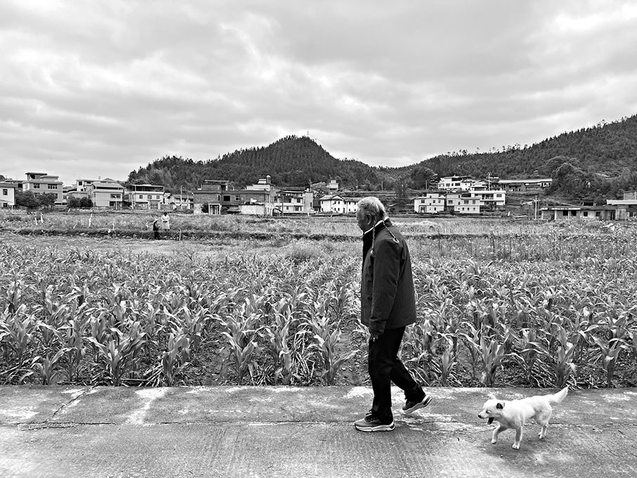 ●石虎2023年在山下村。顧村言供圖
