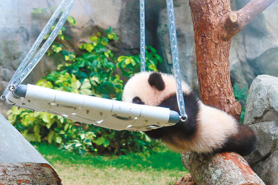 ●「細佬」爭不過「家姐」，只好負責推鞦韆。香港文匯報記者萬霜靈  攝