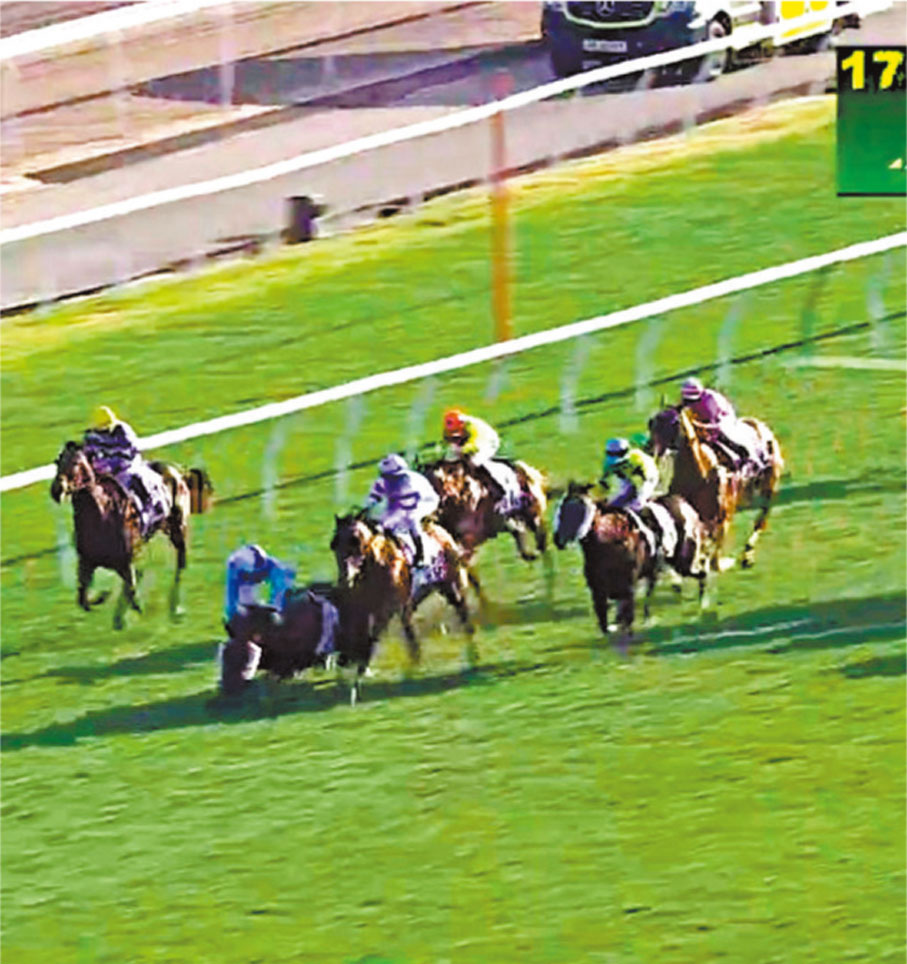 ●第九場14號「保羅傳奇」因其左前腳嚴重受傷,未能救治。 香港賽馬會影片截圖
