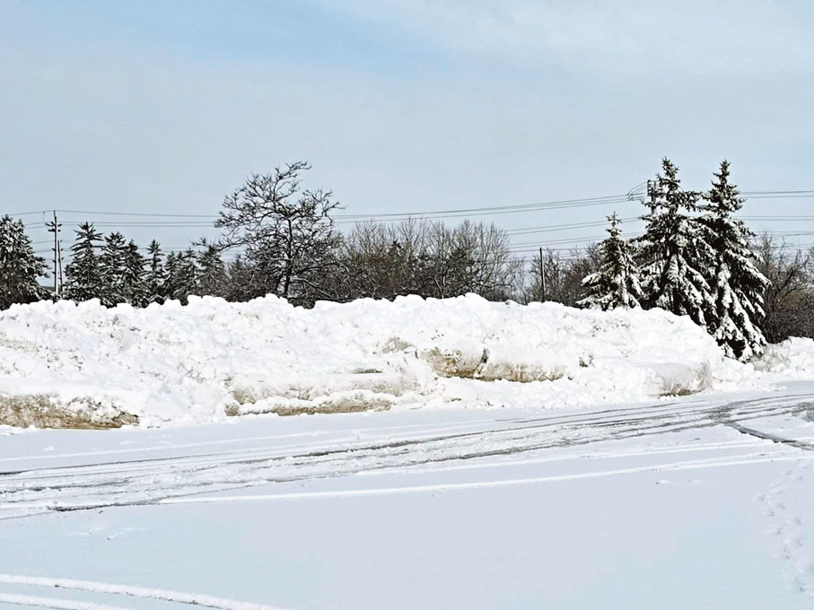 ●加拿大嚴冬冰天雪地,戶外活動停頓。 成小智 攝