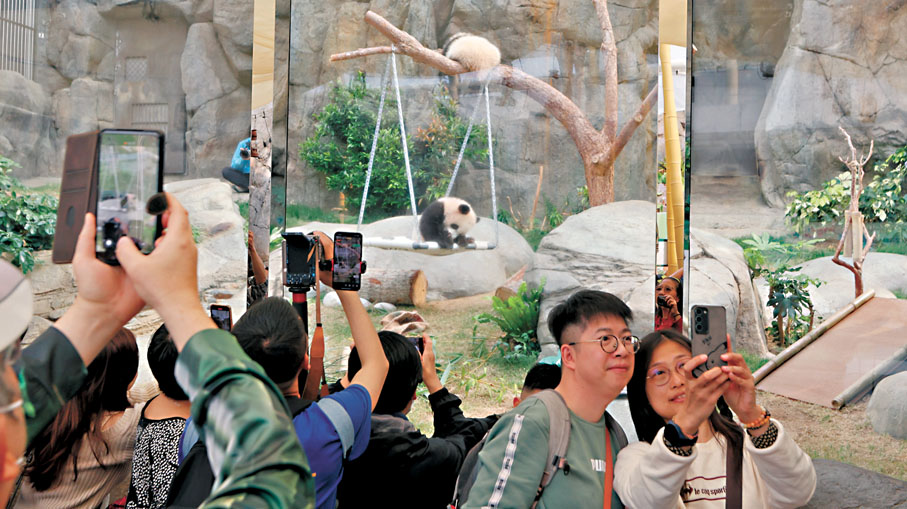 ●「家姐」和「細佬」為海洋公園吸引了不少遊客。 資料圖片