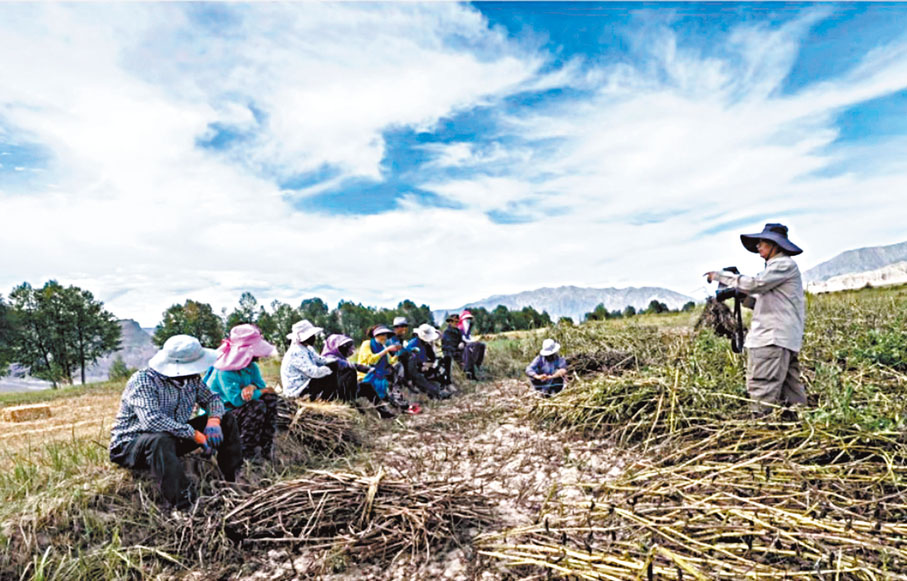 ●黃河邊上的人物。   李英傑攝影作品