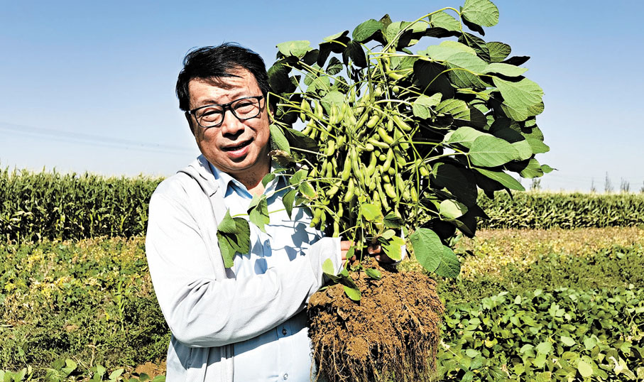 ●重慶交通大學易志堅教授團隊的「沙漠土壤化」技術在國內外5萬畝試驗田中得到了科學有效性驗證。