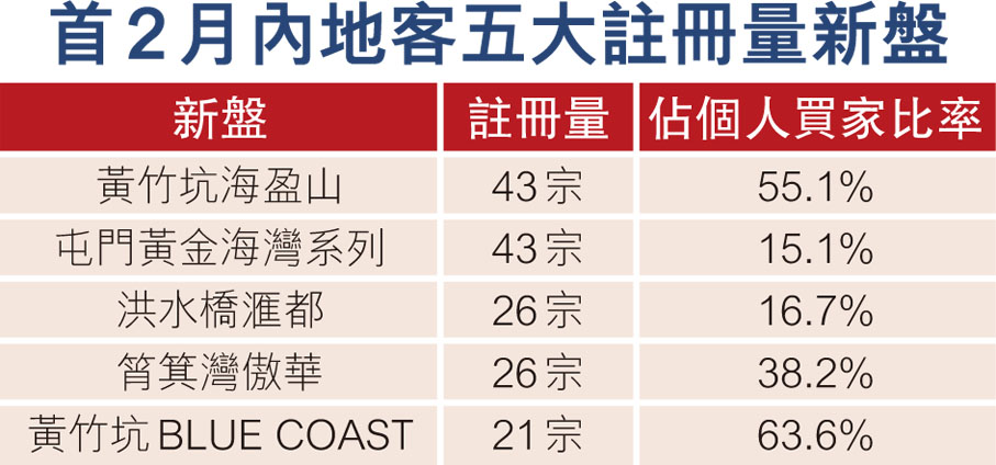 首2月內地客五大註冊量新盤