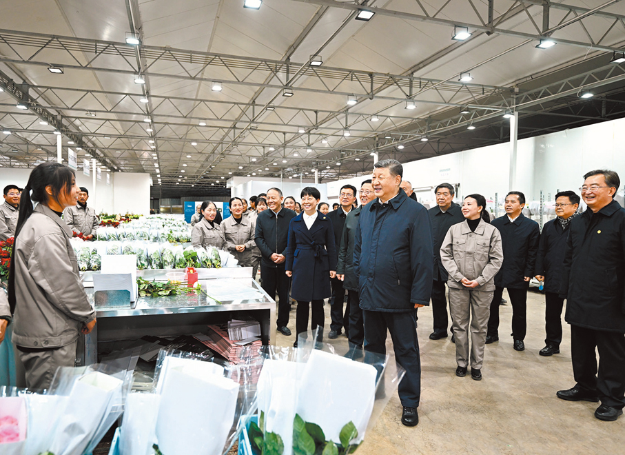●3月19日至20日,中共中央總書記、國家主席、中央軍委主席習近平在雲南考察。這是19日下午,習近平在麗江現代花卉產業園玫瑰花分級包裝生產線考察。 新華社
