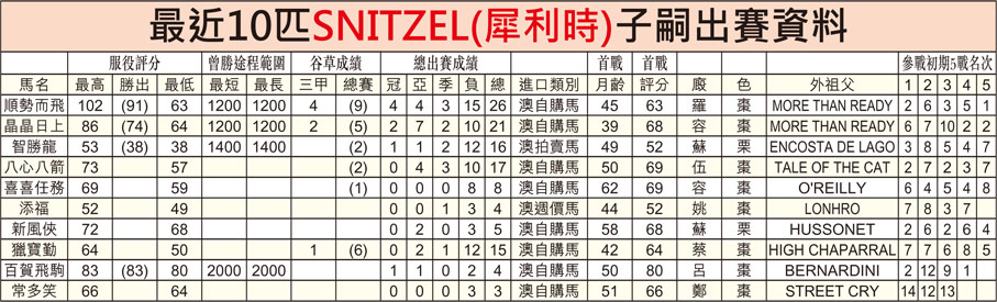 最近10匹SNITZEL(犀利時)子嗣出賽資料