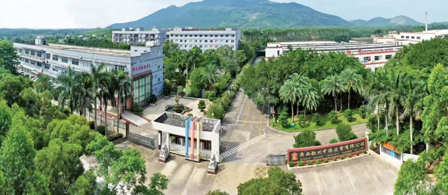 ●鄧祐才投資廣西欽州中港皮業有限公司,圖為其廠區及生活區。
