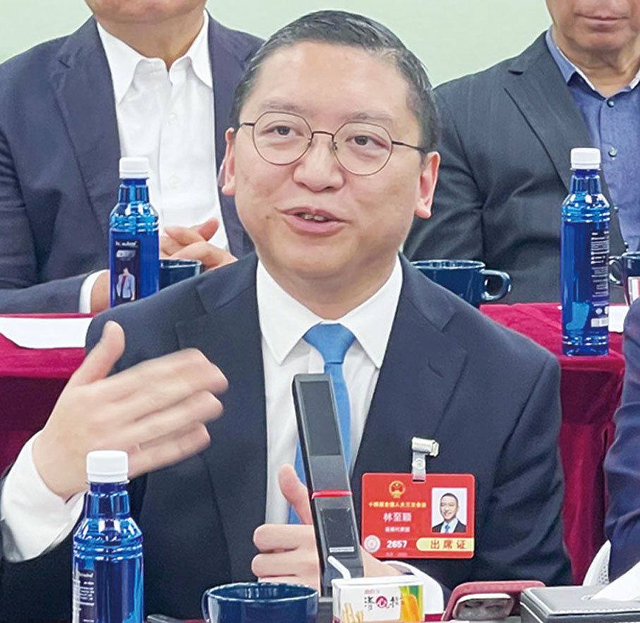 港區全國人大代表林至穎