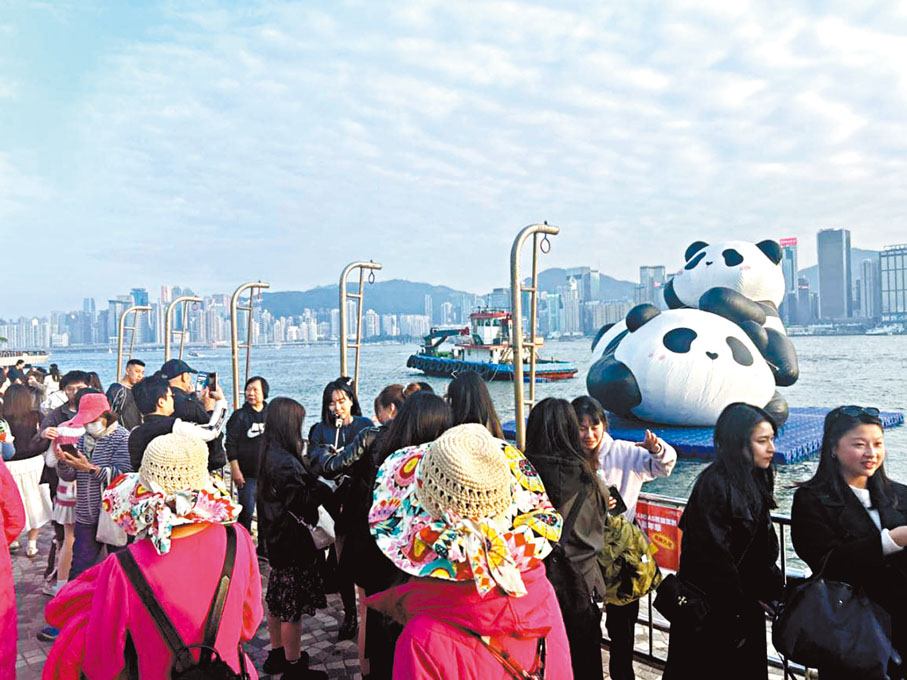 ●2024年「Hello Pandas熊貓駕到」戶外嘉年華。 受訪者供圖