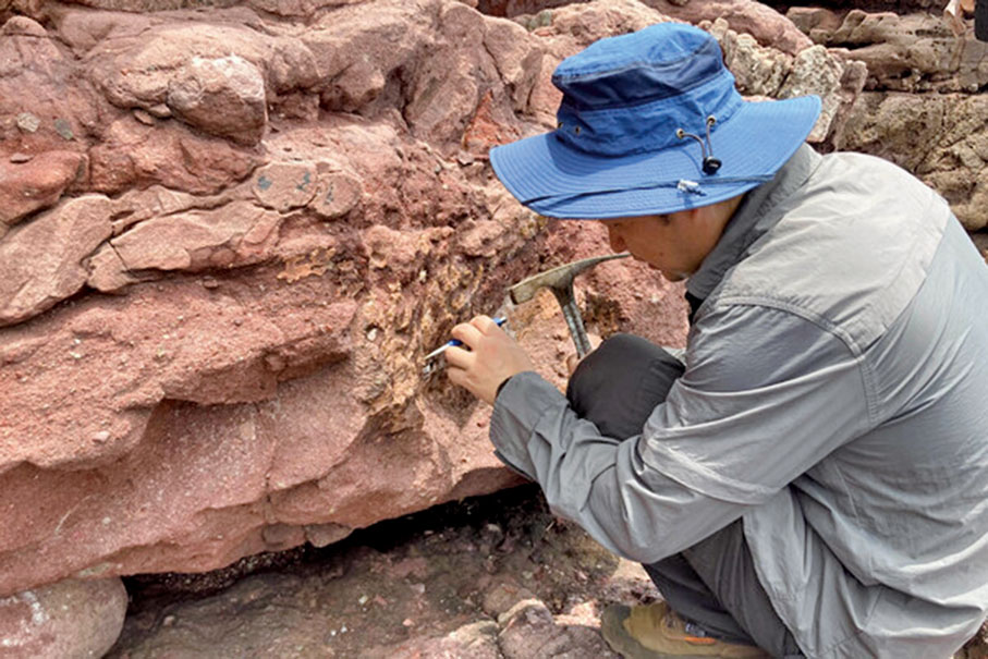 ●2024年10月，恐龍化石首次在香港出土。圖為中科院古脊椎動物與古人類研究所專家在香港聯合國教科文組織世界地質公園範圍內的赤洲採集化石樣本。 （新華社）