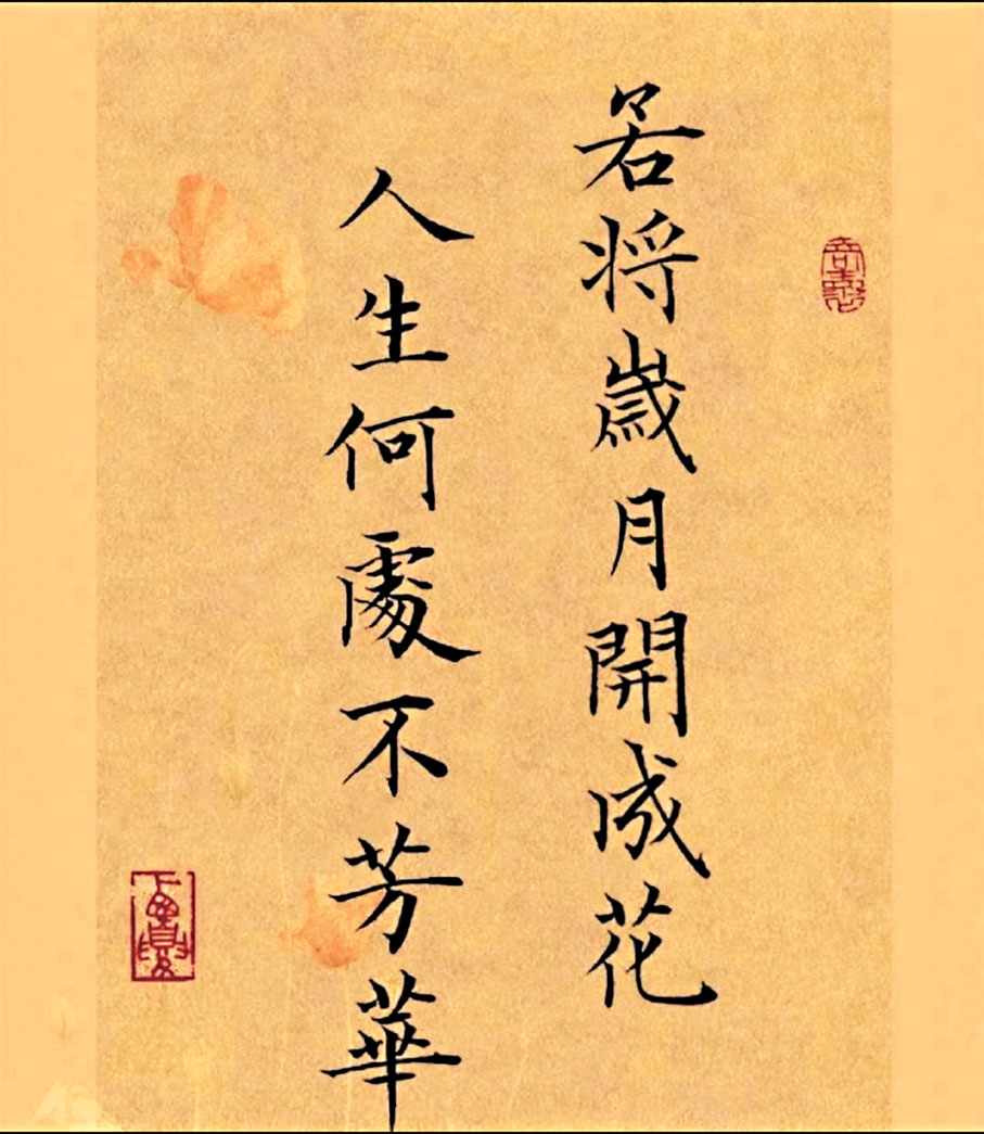 ●今年生日給自己的座右銘。 作者供圖