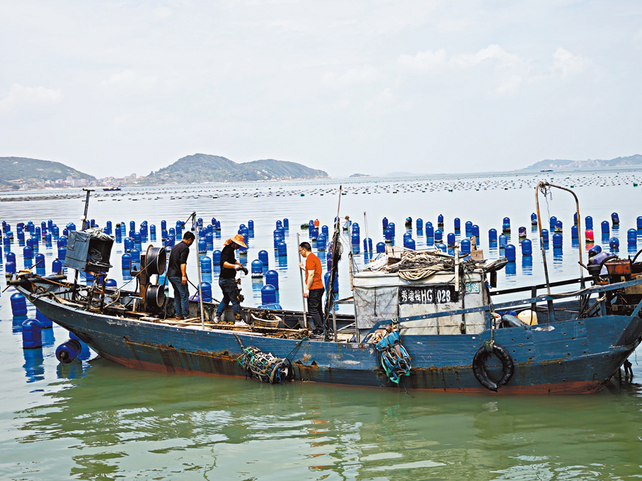 ●鮮海蠣養殖基地