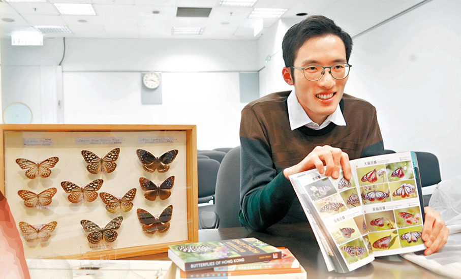 ●凌悅丰分享指,香港常見的斑蝶種類包括紫斑蝶、青斑蝶、虎斑蝶、金斑蝶等,每種斑蝶的度冬或遷徙模式均可能各有不同。香港文匯報記者曾興偉 攝