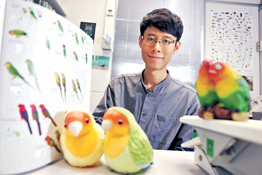 ●冼雍華藉研究雀鳥羽毛顏色，窺探其演化過程。香港文匯報記者萬霜靈  攝