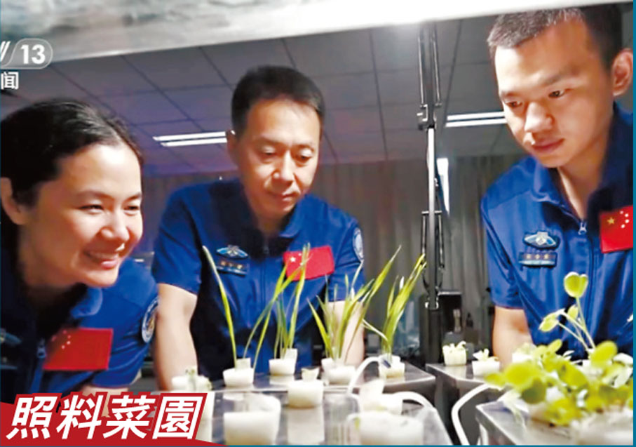 【歡度春節  打理「太空菜園」】神十九乘組在空間站度過了蛇年春節，他們貼春聯、掛福字、吃年夜飯，還為全國人民送去新春祝福，精心照料的「太空菜園」也收穫頗豐。