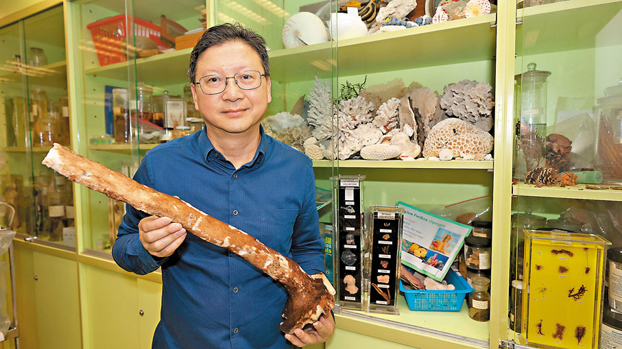 ●邱建文在水深2,022米的東北太平洋中用機械手採集到兩米長的玻璃海綿莖。香港文匯報記者黃艾力  攝