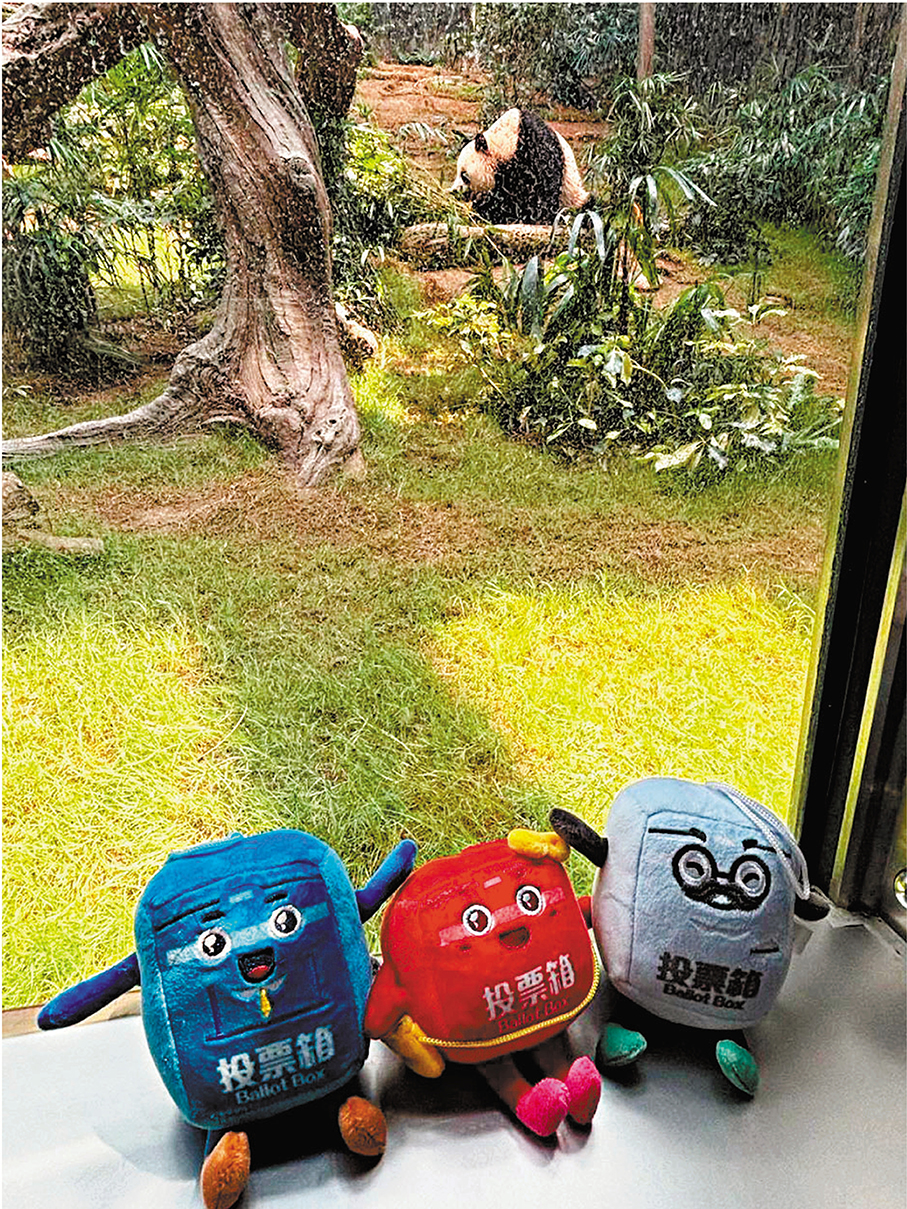 ●選舉吉祥物「票箱寶寶」近日趁放假去了海洋公園探望大熊貓。 政制及內地事務局Fb圖片