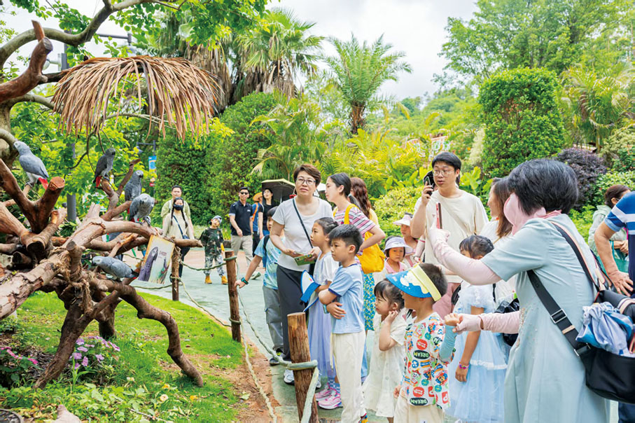 ●清遠長隆森林溫泉樂園。