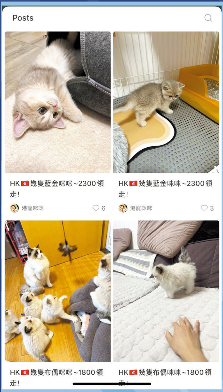 ●小紅書不少深圳寵物商戶聲稱可運送寵物來港。香港文匯報記者洪澤楷 攝