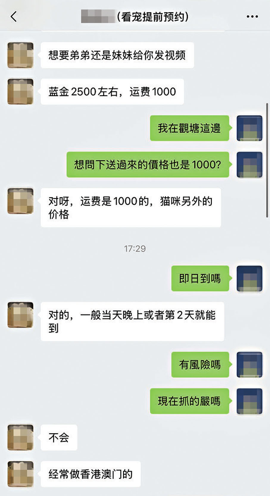 ●賣家揚言寵物貓從深圳出發,一般是當日晚上或第二天就能抵港。香港文匯報記者洪澤楷 攝