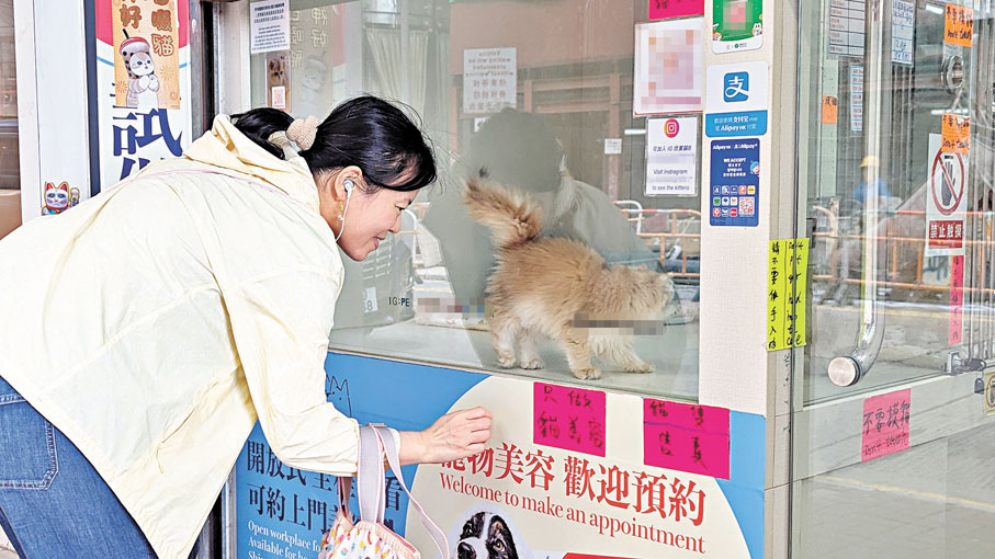 ●消費者在實體店選購寵物。 香港文匯報記者萬霜靈 攝