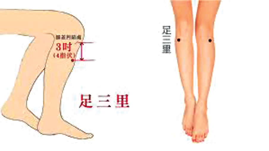 足三里穴