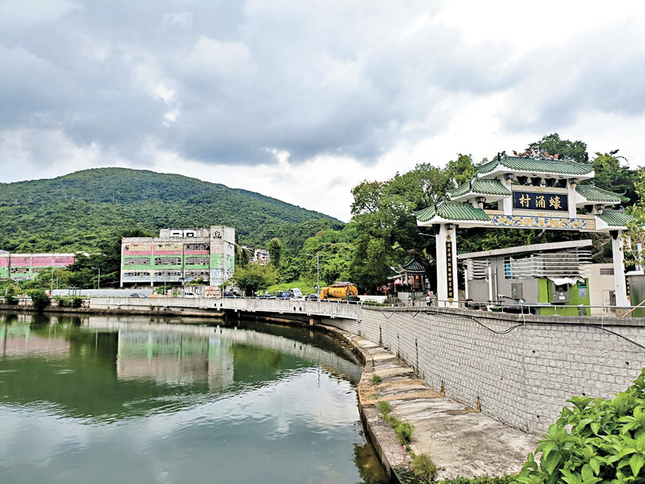 ●蠔涌新村多間獨立屋常在暴雨期間變成水塘。香港文匯報記者張茗  攝