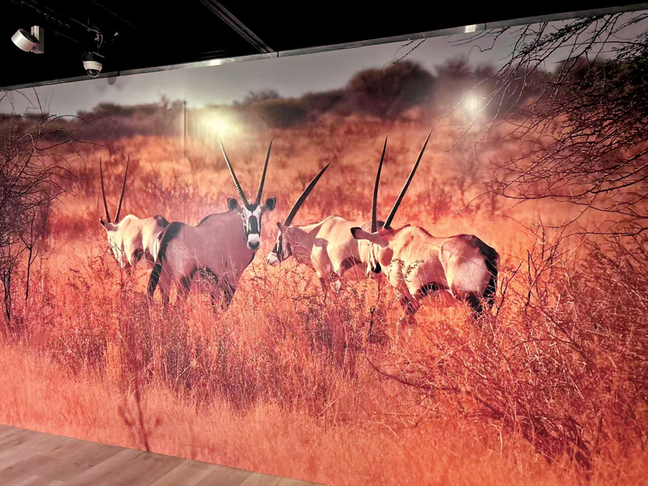 ●羚羊給中非人民帶來了很多工藝創作靈感。