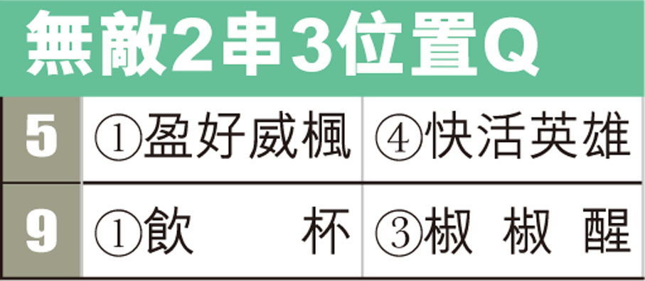 無敵2串3位置Q