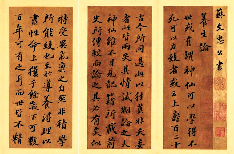 ●圖為蘇軾《養生論》真跡。 資料圖片