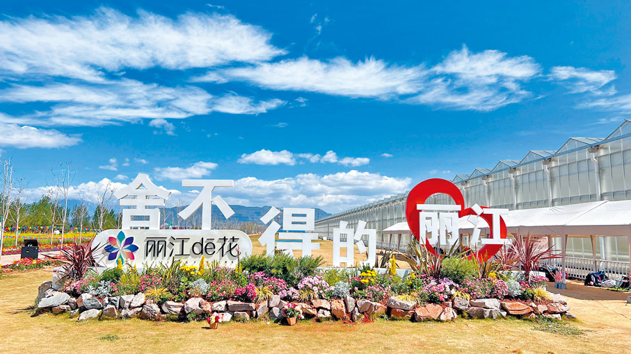 ●「捨不得的麗江」成為遊客的共識。