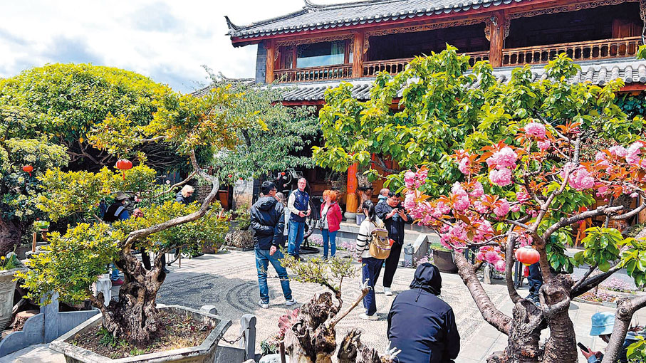 ●納西風情的院子受到各國遊客的喜愛。