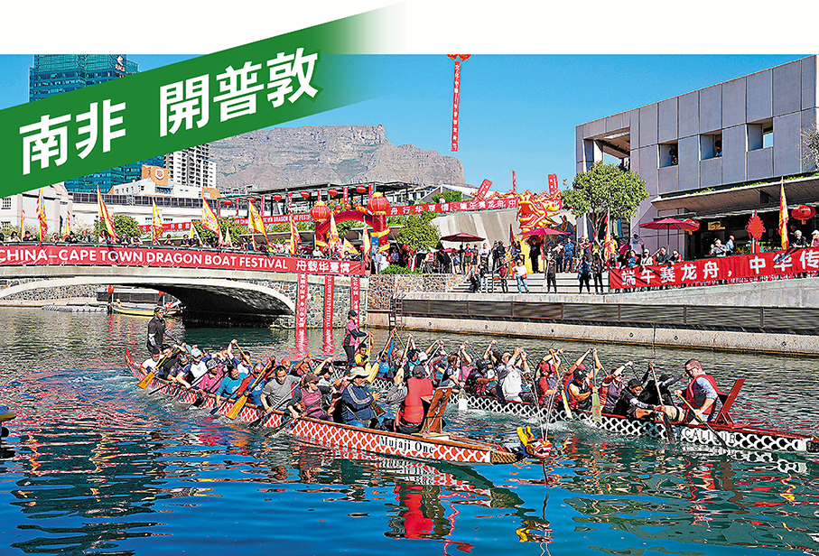 ●選手在龍舟比賽中奮力划槳。